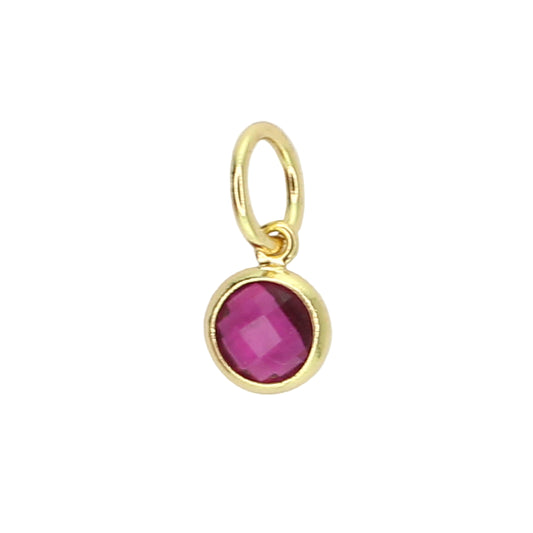 Birthstone Charm - February