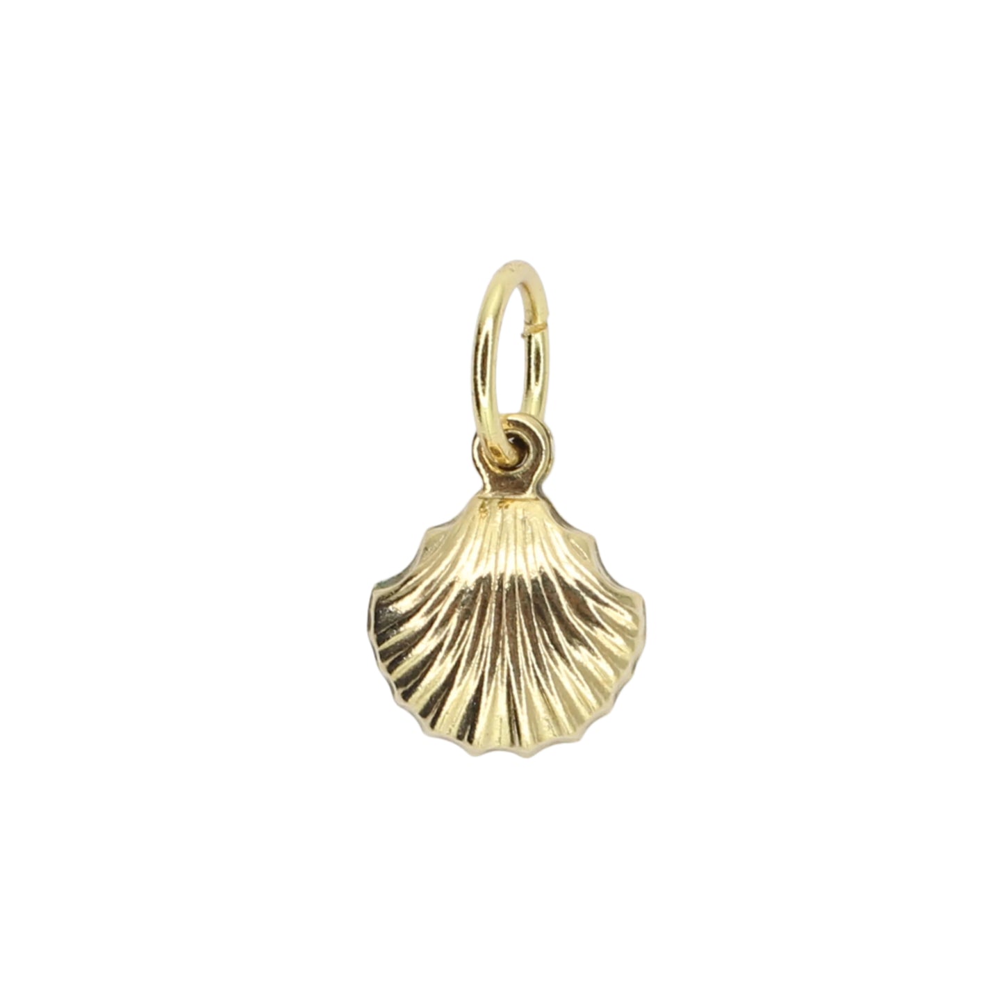 Shell Charm
