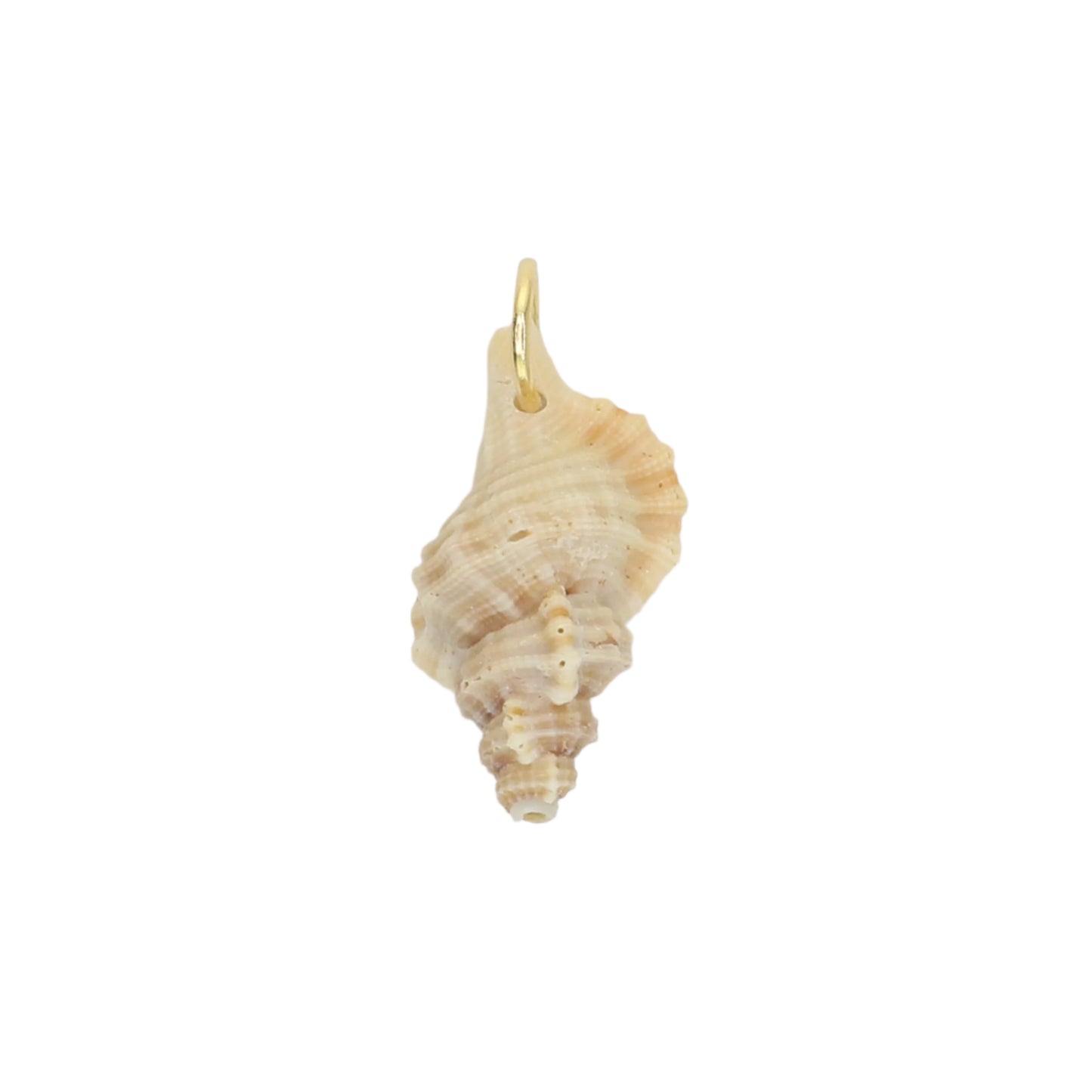Sea Shell Charm