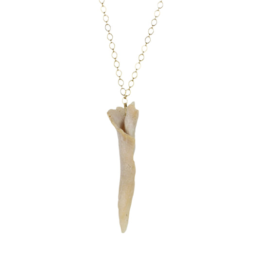 Natural Sea Shell Statement Necklace