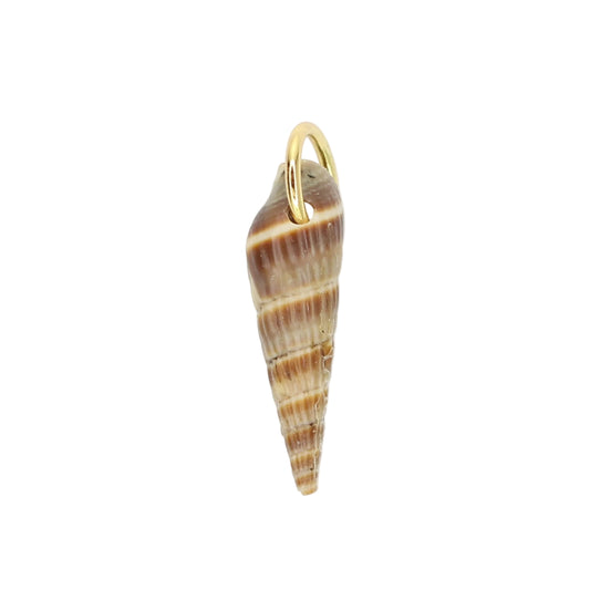 Sea Shell Charm - Brown Horn