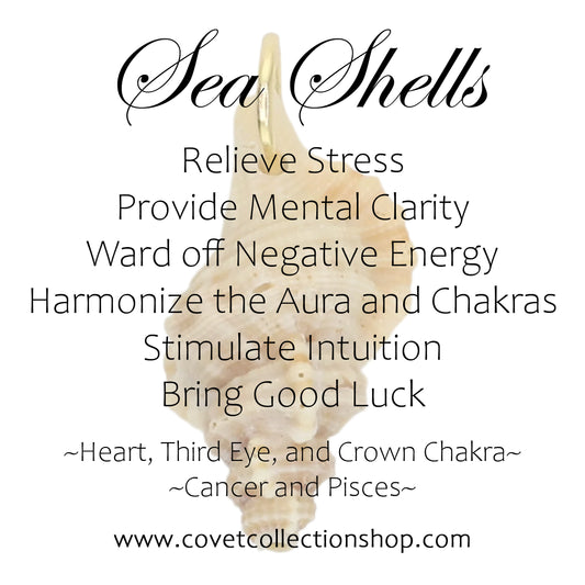 Sea Shell Charm