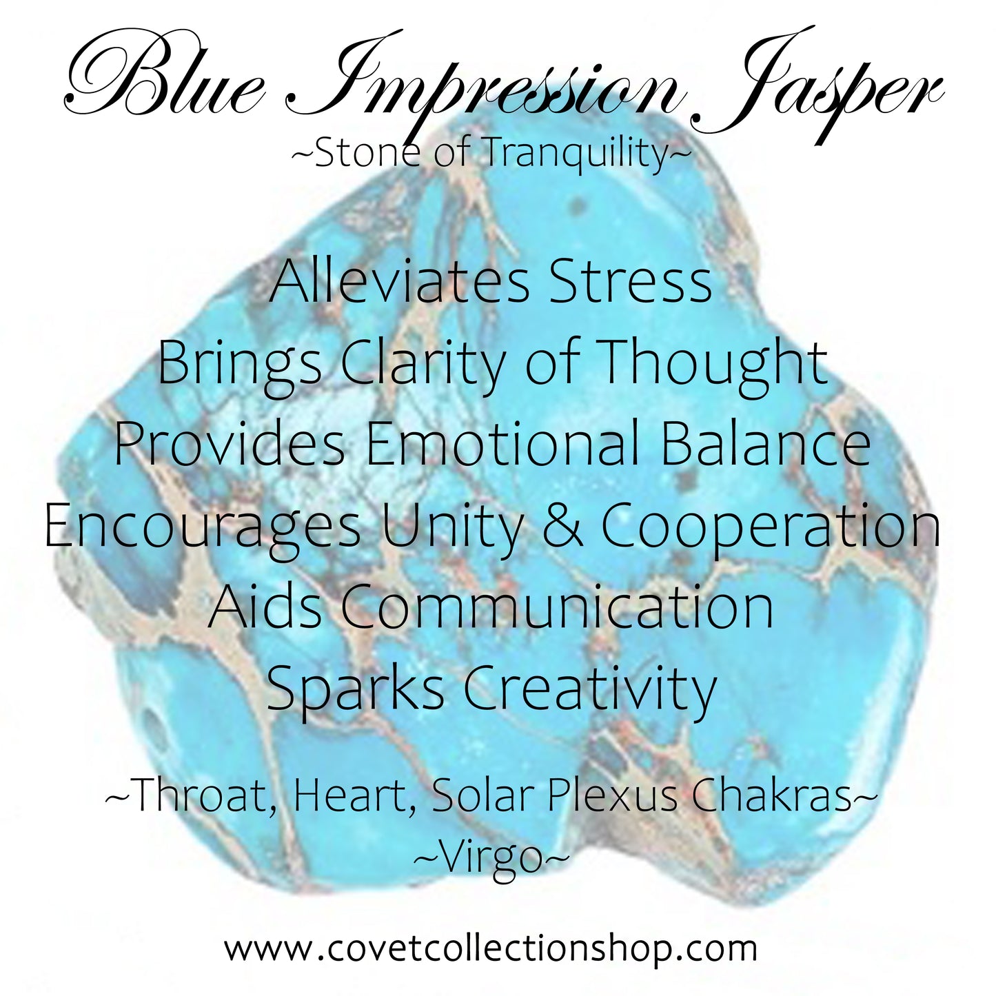 Blue Impression Jasper and Onyx Pin