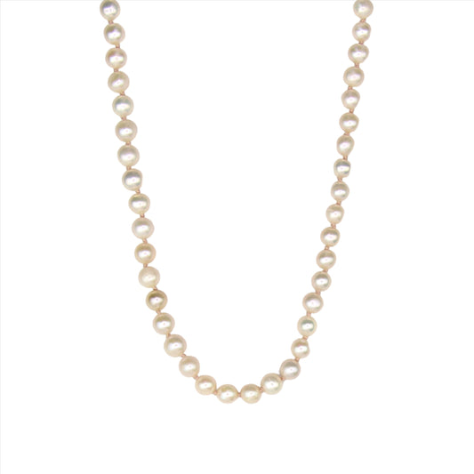 Freshwater Pearl Necklace