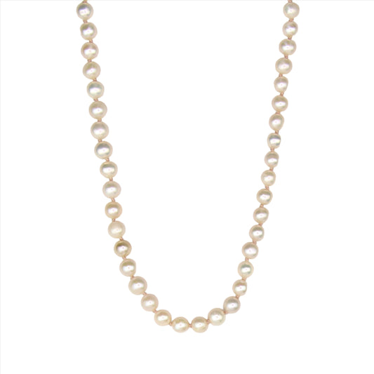 Freshwater Pearl Necklace