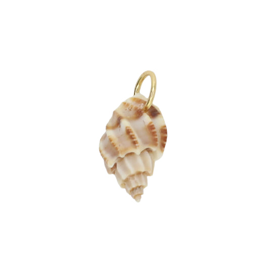 Sea Shell Charm