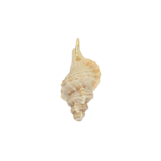 Sea Shell Charm