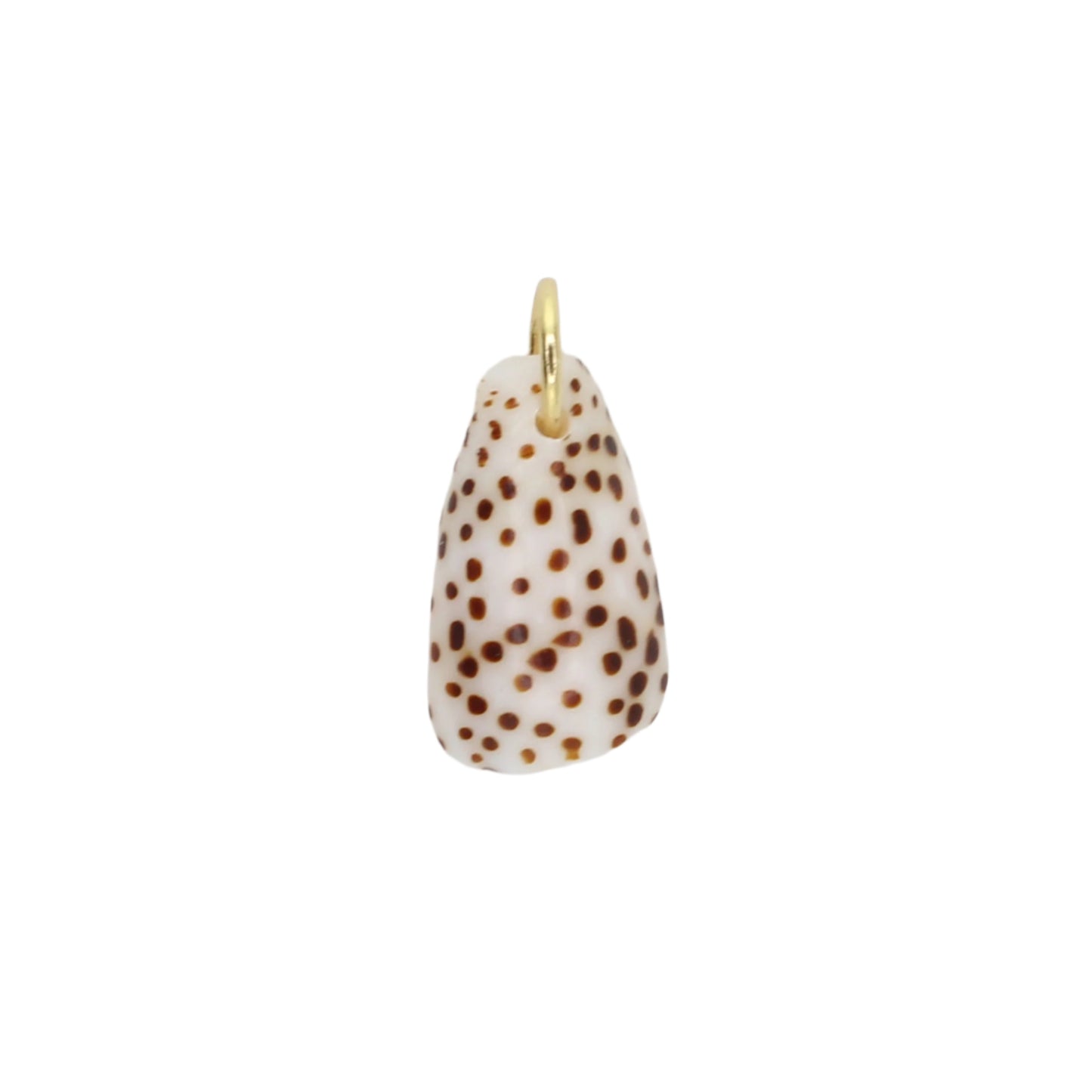 Sea Shell Charm