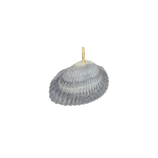 Sea Shell Charm