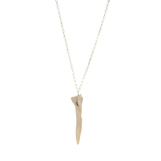 Natural Sea Shell Statement Necklace