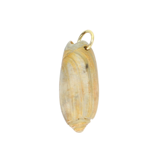 Sea Shell Charm - Olive Shape