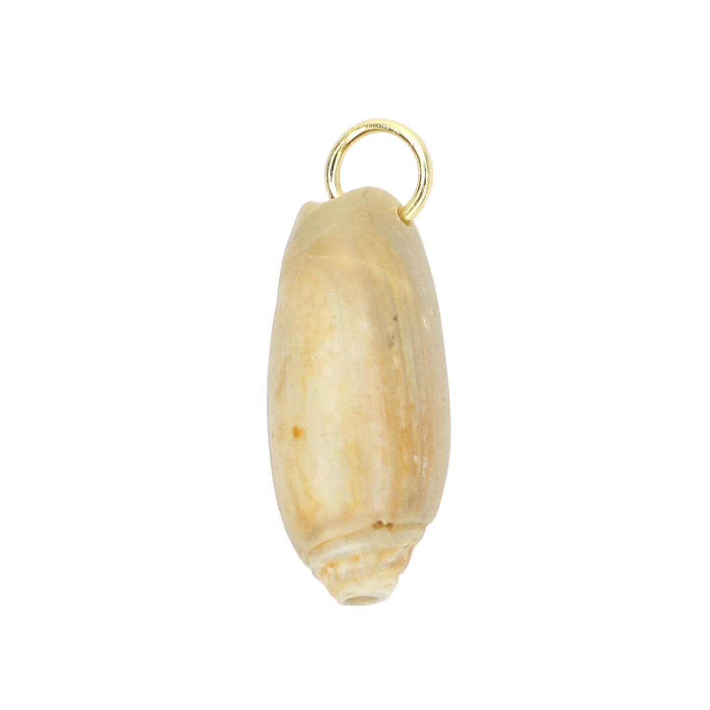 Sea Shell Charm - Olive Shape