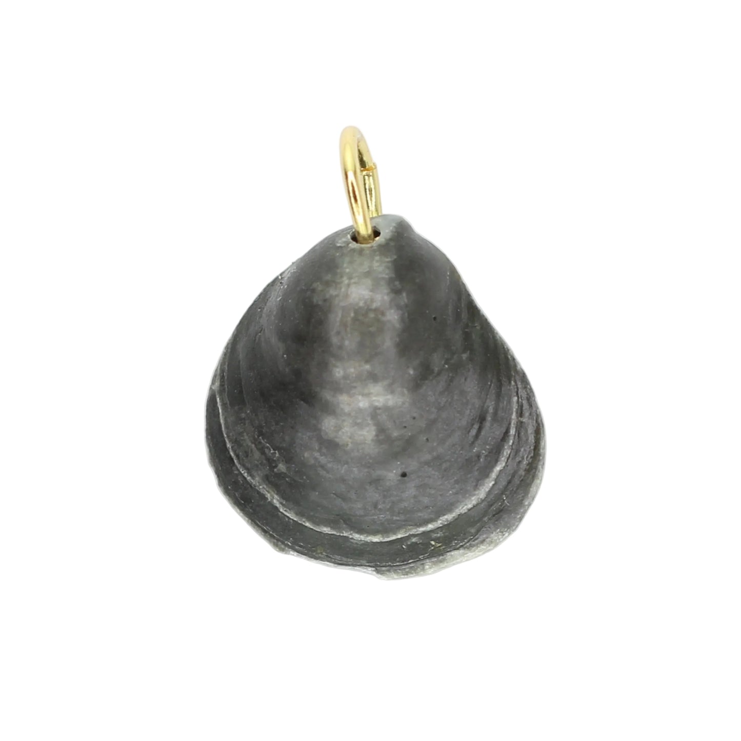 Sea Shell Charm - Charcoal