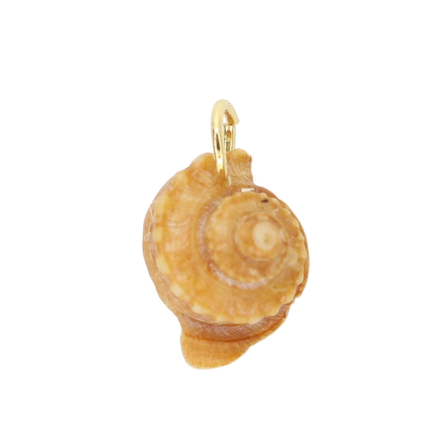Sea Shell Charm - Orange