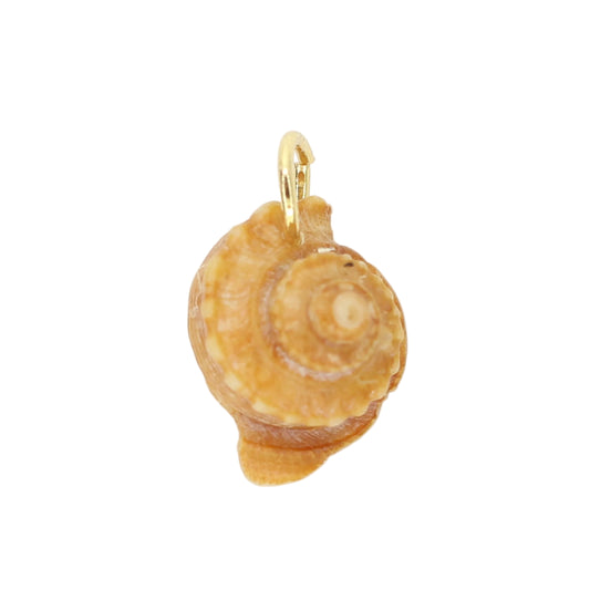 Sea Shell Charm - Orange