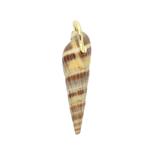 Sea Shell Charm - Brown Horn