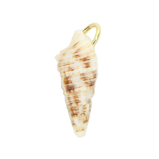 Sea Shell Charm - Brown/White Horn