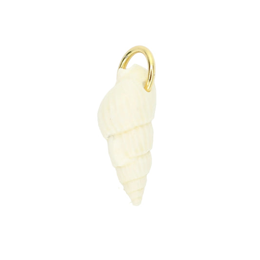 Sea Shell Charm - Ivory