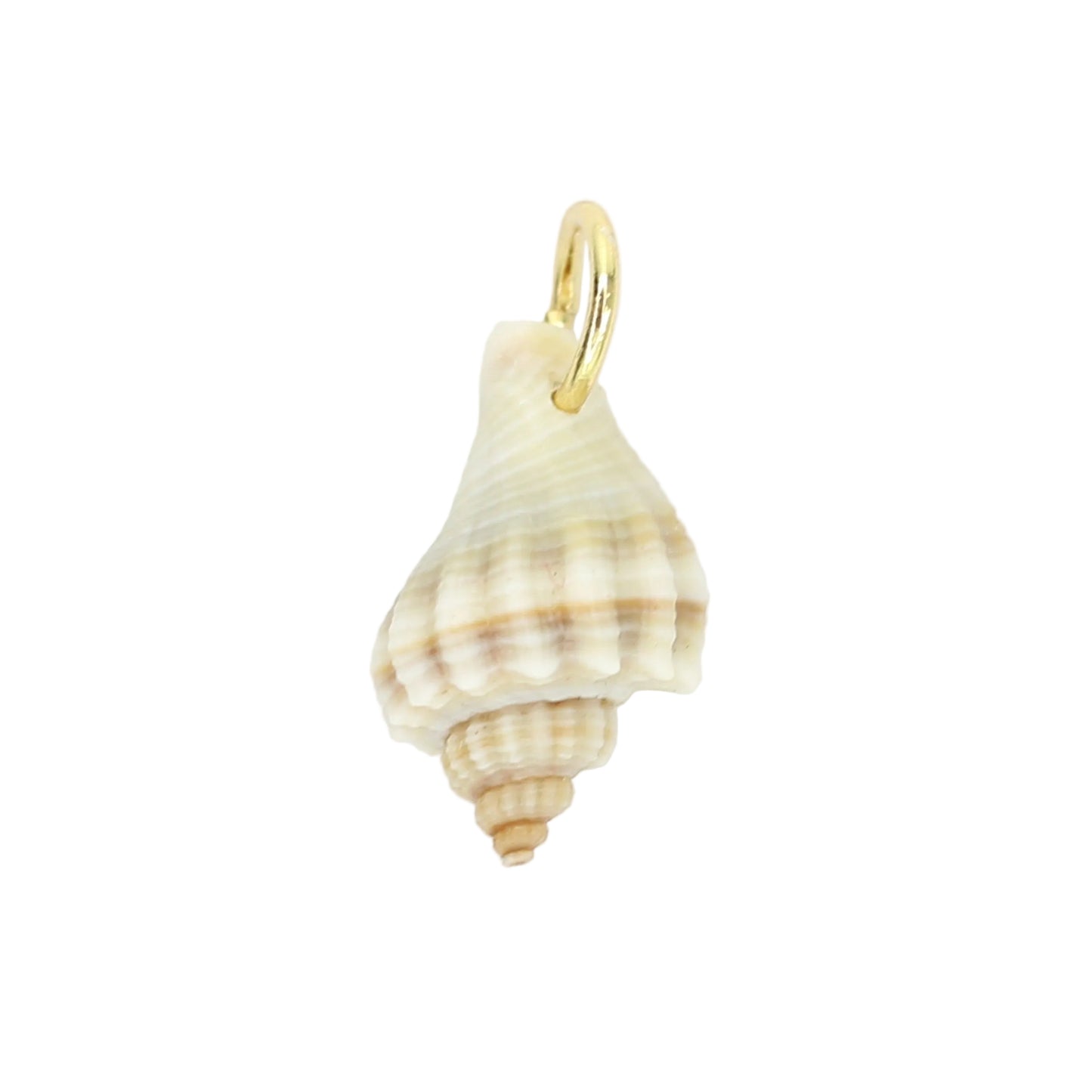 Sea Shell Charm - Ivory/Brown