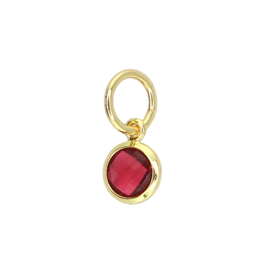 Birthstone Charm - January