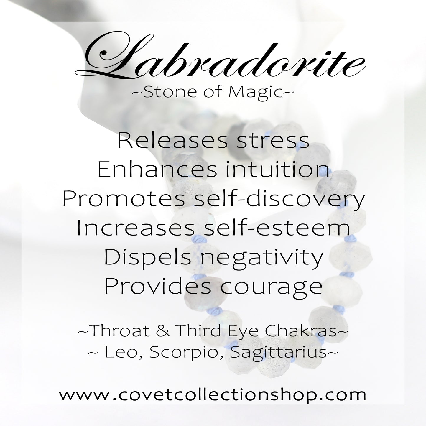 Blue Impression Jasper and Labradorite Earrings