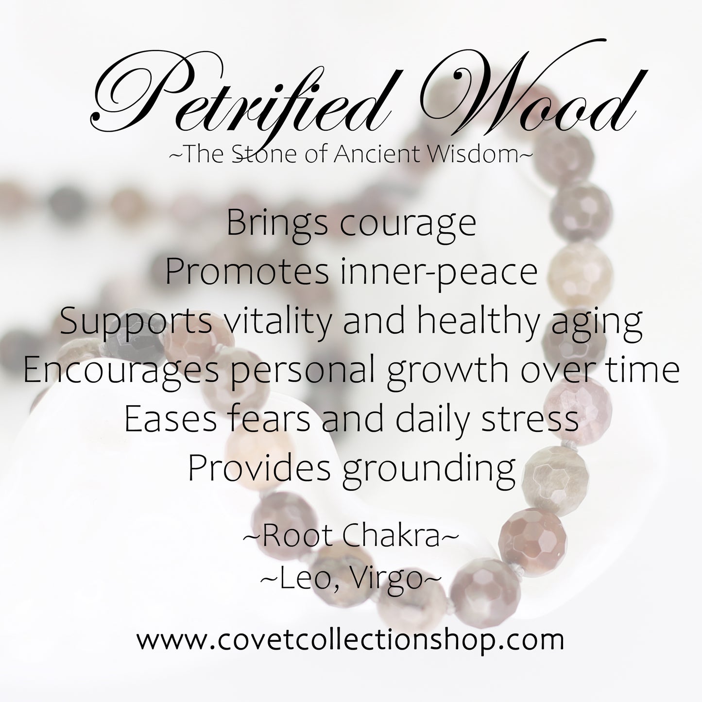 Petrified Wood Necklace with Jasper Pendant